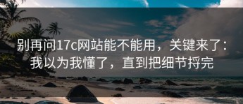 别再问17c网站能不能用，关键来了：我以为我懂了，直到把细节捋完